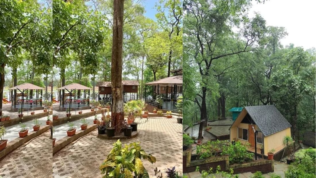 આંબાપાણી ઇકો ટુરિઝમ કેમ્પસાઇટ