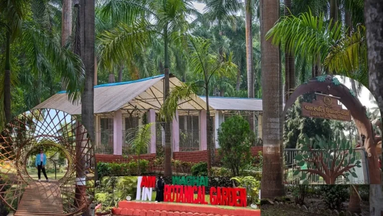 Waghai Botanical Garden