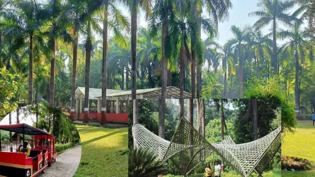 Waghai Botanical Garden