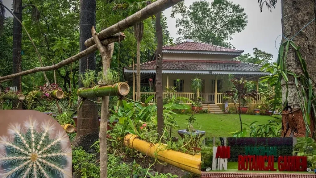 Waghai Botanical Garden gujarat
