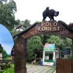 પોળો ફોરેસ્ટ