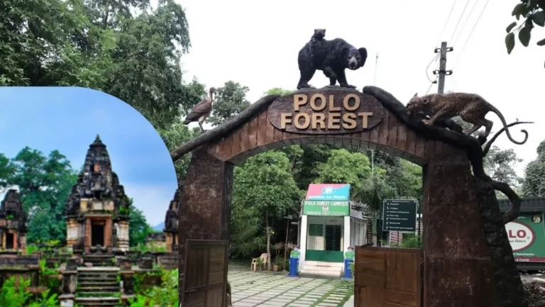 પોળો ફોરેસ્ટ